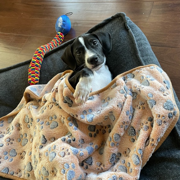 😝   I 💜 Shares & Offers  😝 - Picture 10 of 11